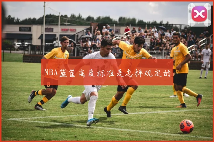 NBA篮筐高度标准是怎样规定的