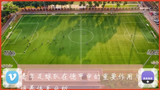 青年足球队在德甲中的重要作用与培养体系分析