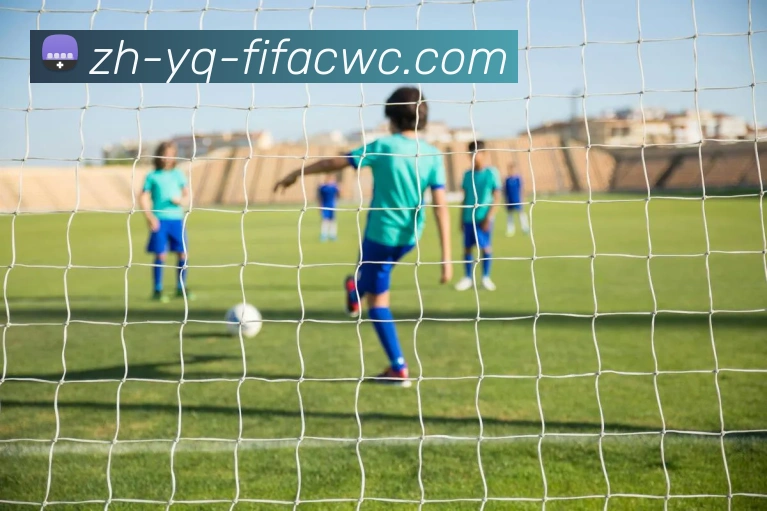 世界杯在线观看发展历程