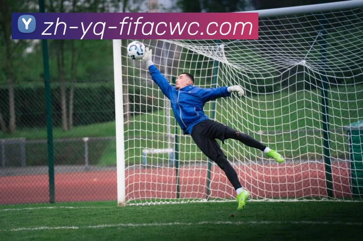 2017年火箭队球员年薪数据统计与比较